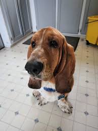 Corrina Dawn Bush Nicholas (CRJ), West Virginia http://Arre.st/WV-1005456607