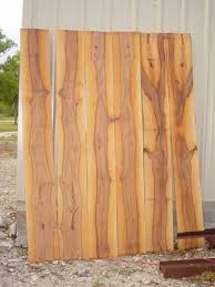 Sawing And Drying Pecan Wood Pecan Wood Wood Slab Beautiful Wood