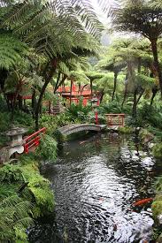 Classic Japanese Park Japanese Park Japanese Garden Japanese Landscape