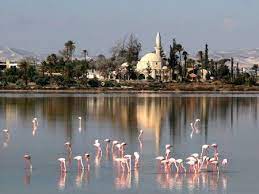 muslims in greek cyprus want back mosque area world bulletin cyprus larnaca cyprus greece larnaca