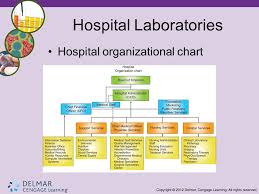 Organizational Chart Of A Hospital Laboratory Www