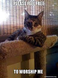 Please Feel Free To Worship Me The Most Interesting Cat In The World Make A Meme