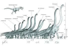Sauropod Dinosaur Size Chart History Prehistoric