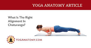 What Is The Right Alignment In Chaturanga Chaturanga Yoga Anatomy Alignment
