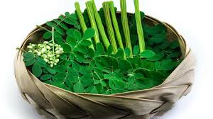 Kelor atau moringa oleifera adalah tumbuhan yang kaya akan nah, jika anda ingin mengkonsumsi daun kelor sebagai obat herbal, begini cara yang benar dalam mengolah daun kelor agar manfaatnya optimal. 22 Manfaat Daun Kelor Yang Jarang Diketahui Ketahui Cara Mengolahnya Ragam Bola Com