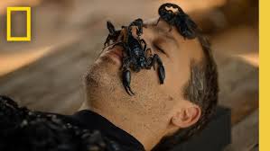 Karl Watson and Elan Watson