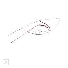 Step 4 draw the small lines for the knuckles and wrist bone. How To Draw A Hand Easy And Quick Arteza