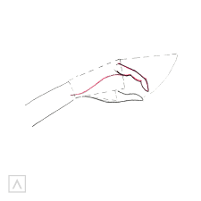 The reason that drawing hands is so challenging is because there are so many forms that have to be drawn in perspective. How To Draw A Hand Easy And Quick Arteza
