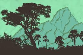 March 2025 News Update