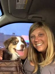 Doggy daycare and training in Sun Valley CA