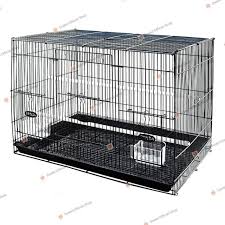 Persilangan kucing persia dengan anggora. Harga Kandang Kucing Persia