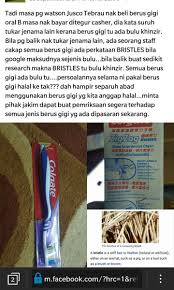 'seekor kerbau membawa lumpur habis semuanya terpalit'. Bodoh Sombong In English