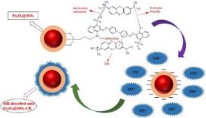 Congo red.dyes cotton directly and wool out of a neutral bath. Preparation Of Congo Red Functionalized Fe3o4 Sio2 Nanoparticle And Its Application For The Removal Of Methylene Blue Sciencedirect