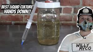 3.1.2 put the grain in a bag and place it in a pressure cooker. What Is A Lme Liquid Culture Used For In Gourmet Mushrooms Youtube