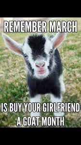 Funny Goat Memes Facebook