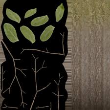 Image result for Searsia lucida