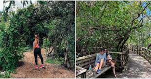 This Secret Urban Spot In Florida Has The Most Incredible Natural Trails Secret Woods Nature Center Recreational Parks Nature Center