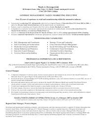 car salesman resume sample