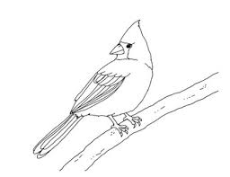 We did not find results for: Northern Cardinal Coloring Page By Mama Draw It Tpt