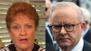 Justin John Meale pleads not guilty to murder of Clinton Pollock