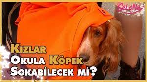 kizlar okula gizlice kopek sokmaya calisirsa youtube