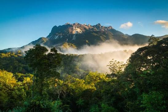 Malaysia Truly Asia - Exploring Sabah: The Best Nature and Wildlife  Adventures