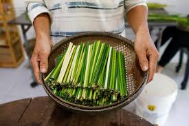 Thứ hạng cao nhất của anh từng đạt được là hạng 4 trên thế giới theo bảng xếp hạng của liên đoàn cầu lông thế giới. á»'ng Hut Lam Tá»« Cá» Cá»§a Chang Trai Viá»‡t Ä'Æ°á»£c Bao Anh Khen Ngá»£i Vietnamnet