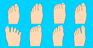 The Shape Of Your Toes Can Reveal Interesting Secrets About