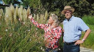 In facettenreichen varianten lassen sich stauden im garten, in vielerlei hinsicht ideal kombinieren. Graser Im Garten Welches Gras Fur Welchen Standort Mdr De