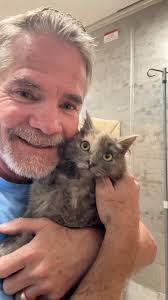 Elaine is such a beautiful little lady. This is what your donations can  accomplish. Thank you for your support 🙏❤️ #davidloop65 #cat #catlife  #catlover #kitten