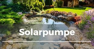 Pin Auf Wasserstellen