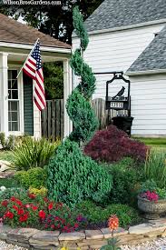Image result for spiral cut juniper trees