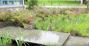 Artful Rainwater Design Symposium Stacy Levy Rain Garden Rainwater Plants