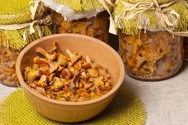 Epingle Sur Champignons