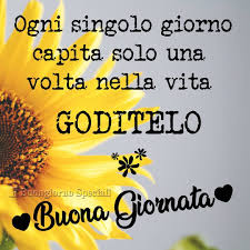 Buongiornospeciali Buongiorno Buongiornocosi Buonagiornata Vivi Vita Fiore Fiori Girasole Girasoli Go Buongiorno Buona Giornata Motivi Per Sorridere
