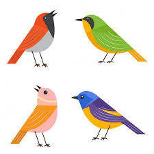 Bird Bird Bird Bird Is The Word Timbaland Colorful Flat Design Bird Collection Di 2020