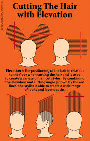 Step-by-step Instructions For Doing A High-elevation Haircut