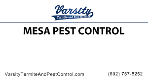 Your kitchen and pantry are the place where pests such as ants and cockroaches often take up. 5 Tips For Pest Prevention Varsity Termite And Pest Control