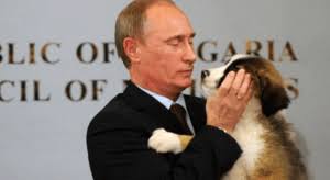 Среднеазиатские овчарки (алабай и тобет) — одна из древнейших пород собак — типичный молоссоид. Alabaj Vernyj Vladimira Putina Foto Kak Vyglyadit Severnyj Pitomec Segodnya I Otnoshenie Prezidenta K Sobake