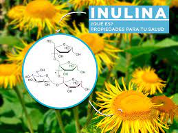 Inulina Que Es Y Que Propiedades Tiene Para Tu Salud Prokey