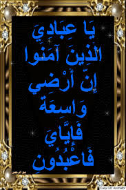 أسباب نزول آيات القرآن ي ا ع ب اد ي ال ذ ين آم ن وا إ ن أ ر ض ي و اس blog posts blog post