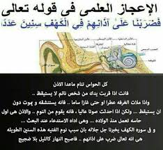 Desertrose أصبحنا م لبين م هللين حامدين شاكرين صباح يض ج بالتكبيرات جعلنا المولى وأياكم من الس عداء لبيك اللهم لبيك Islam Beliefs Quran Tafseer Islam Facts