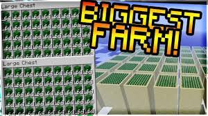 Fixed a rendering issue with pixelmon. New Best Cactus Farm Schematic Download In Description Minecraft Factions Cactus Schematic 1 8 Youtube