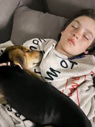 Rescuing a stray beagle in Greenville, SC County