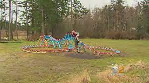 I may be a bit old but i rate 10/10 for backyard roller coaster enthusiasm. Dad Builds Backyard Roller Coaster Youtube