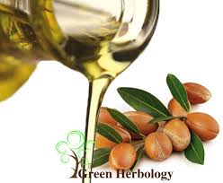 Moroccan Argan Oil Great Moisturizer | Green Herbology