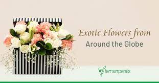 When you think of flower gardens your mind probably jumps to familiar, favorite plants such as the the flowers on all passion flowers or passiflora look similar but there are hundreds of passion flower species available. 15 Exotic Flowers From Around The Globe