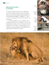 Libro de ciencias naturales 4 cuarto grado 2020 2021. Tema 1 Diversidad En La Reproduccion Ayuda Para Tu Tarea De Ciencias Naturales Sep Primaria Cuarto Respuestas Y Explicaciones