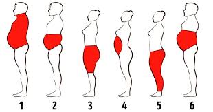 This is a type of innerwear for women that looks very similar to the boys' underwear (boxer briefs) with the leg hem cutting straight across the thigh. 6 Types Of Body Fat And How To Get Rid Of It