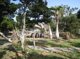 Okinawan Life | Power of Okinawa | Page 5